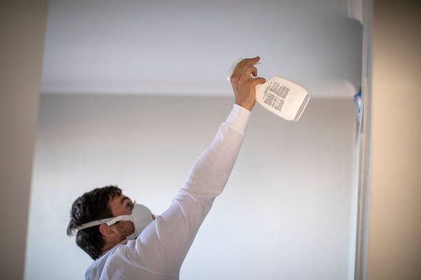 Best Attic Mold Removal  in Indnola, IA