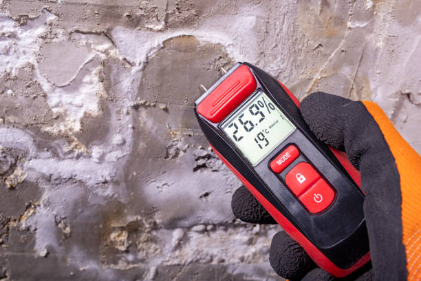 Best Toxic Mold Removal  in Indnola, IA